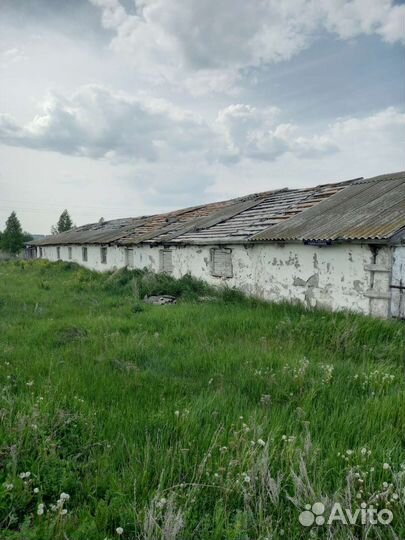 Отдам дрова бесплатно