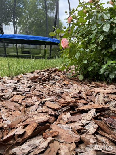 Кора лиственницы мульча в наличии