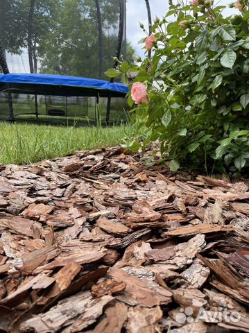 Кора лиственницы мульча в наличии