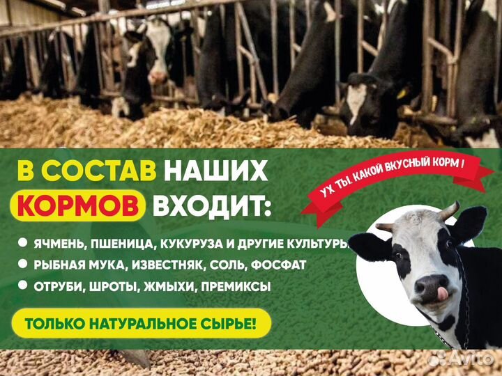 Жмых подсолнечника