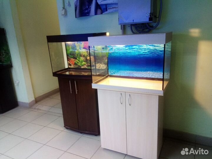 Аквариум100 свет, биофильтр, тумба, фон