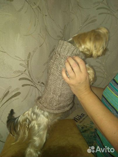 Тёплая вязанная одежда для питомцев