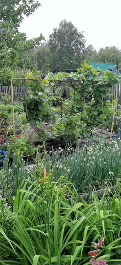 Дача 35 м² на участке 12 сот.