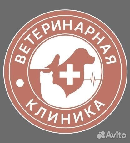Ассистент ветеринарного врача