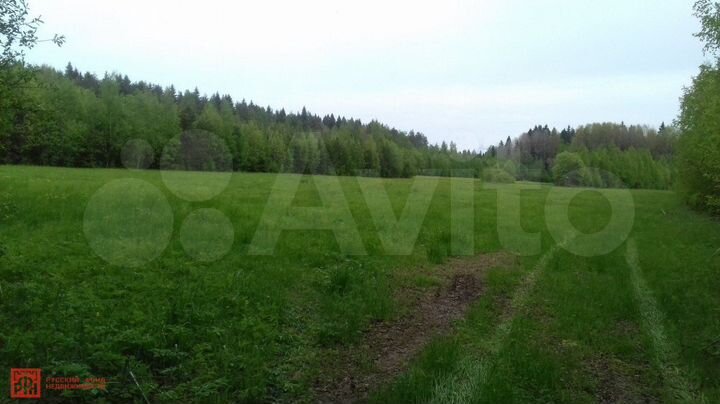 Участок 3,6 га (СНТ, ДНП)