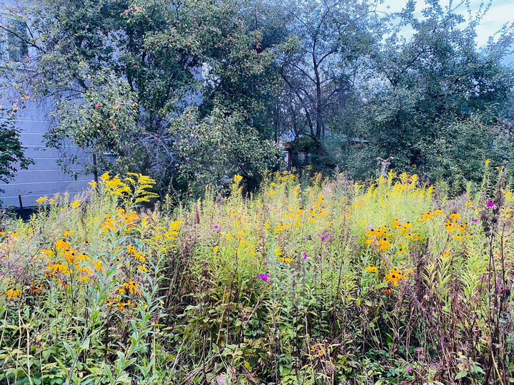 Участок 3 сот. (ИЖС)