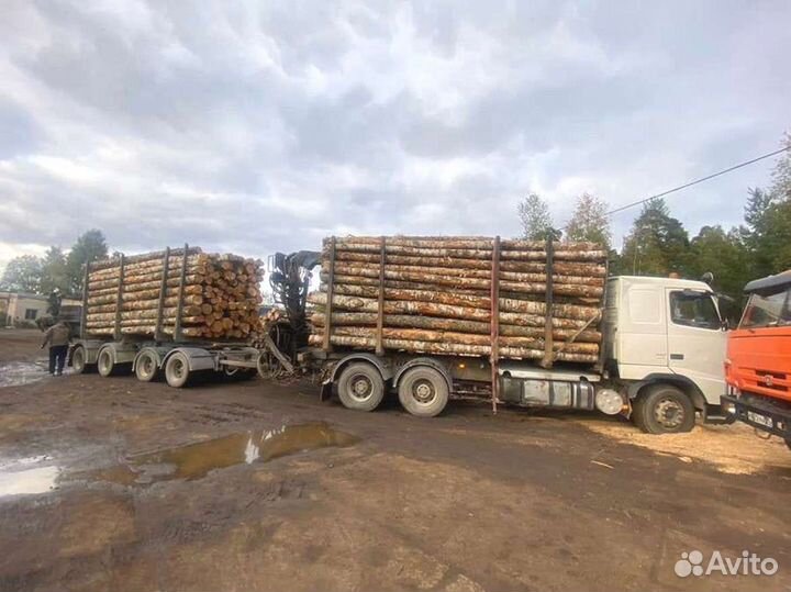 Дрова, честный куб