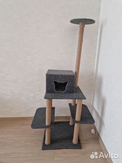 Домик для кошки бу