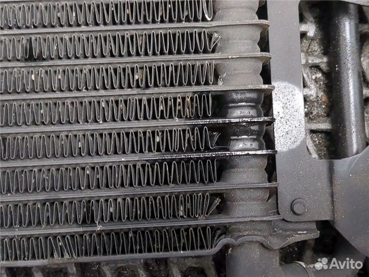 Радиатор масляный Volkswagen Tiguan, 2011