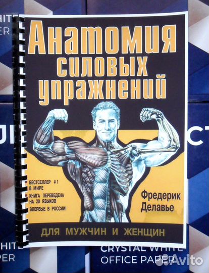 Анатомия силовых упражнений