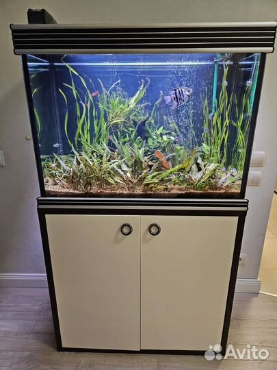 Аквариум