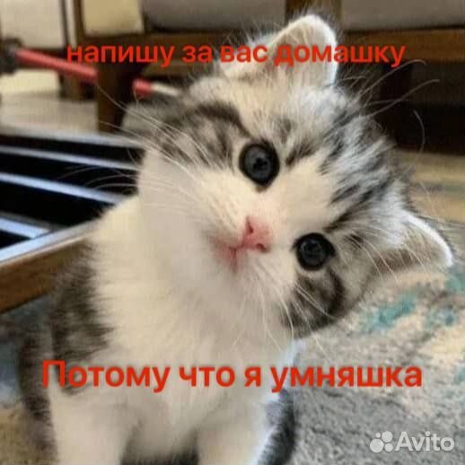 Напишу за вас сочинение напишу доклад или решу зад