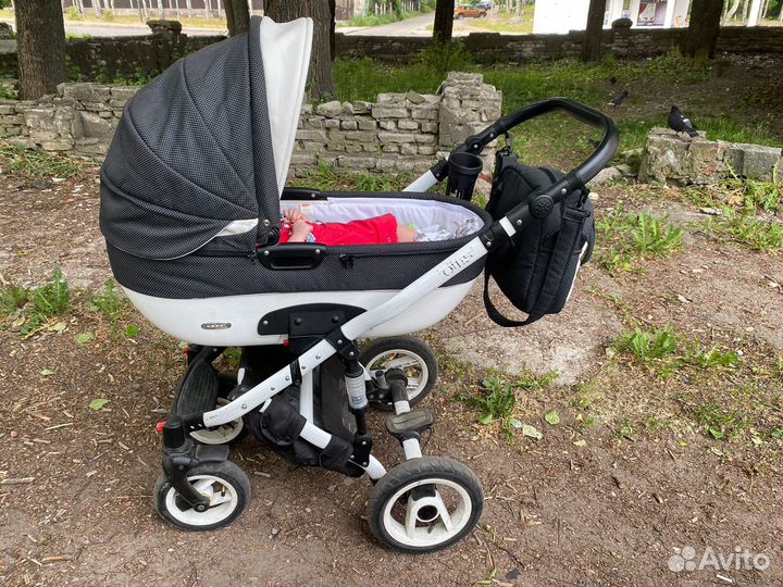 Коляска 3 в 1 adbor