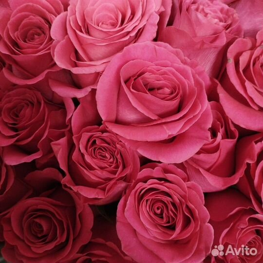 Цветы розы с доставкой