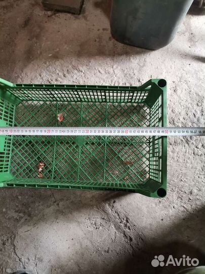 Ящик для овощей и фруктов