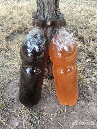 Домашнее безалкогольное пенное