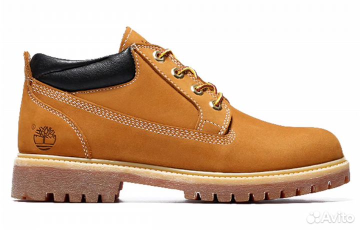 Oxford Waterproof Classic Timberland (43)