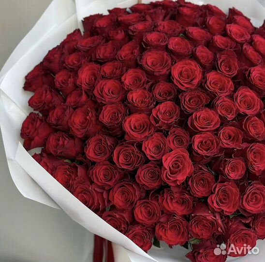 Розы Доставка