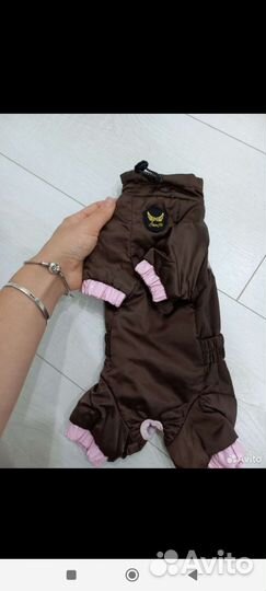 Комбинезон для собаки