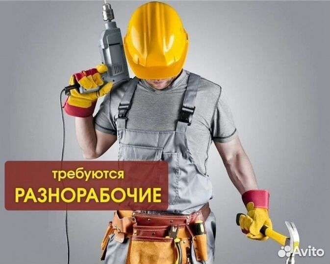 Разнорабочий/подработка/ежедневные выплаты