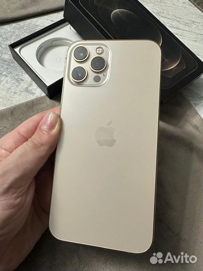 iPhone 12 Pro Max, 256 ГБ