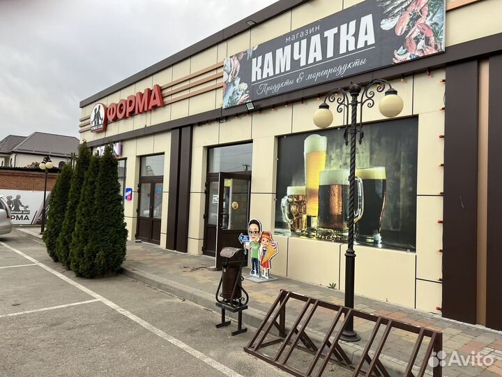 Готовый пивной магазин