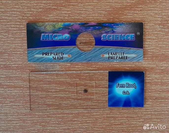 Микроскоп детский биологический 150-1250х