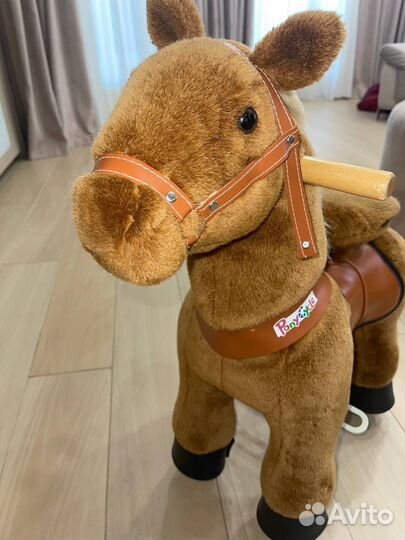 Лошадь поницикл