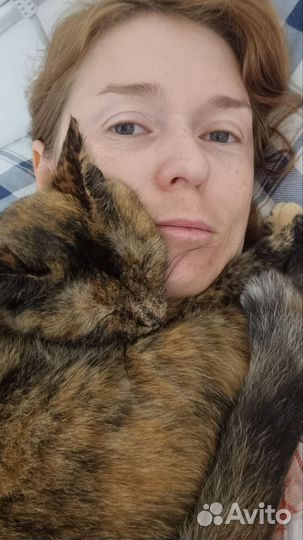 Передержка животных