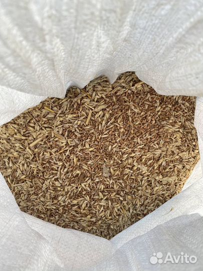 Продам зерно