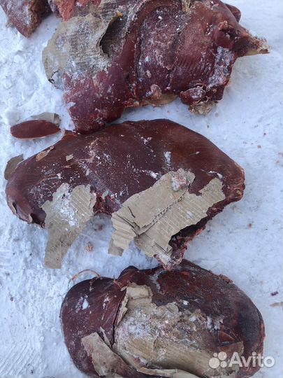 Корм для собак