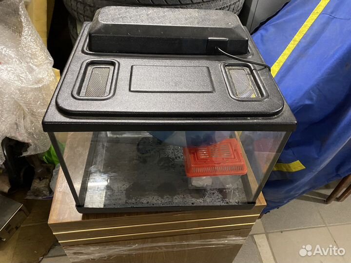 Террариум, черепашник