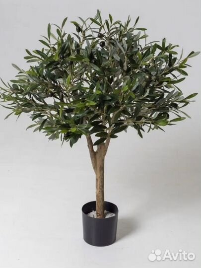 Искусственное дерево олива