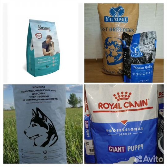 Корм для собак и кошек