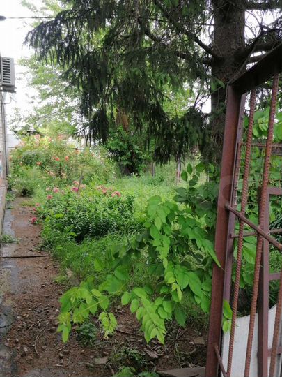 Дом 98,5 м² на участке 25 сот.