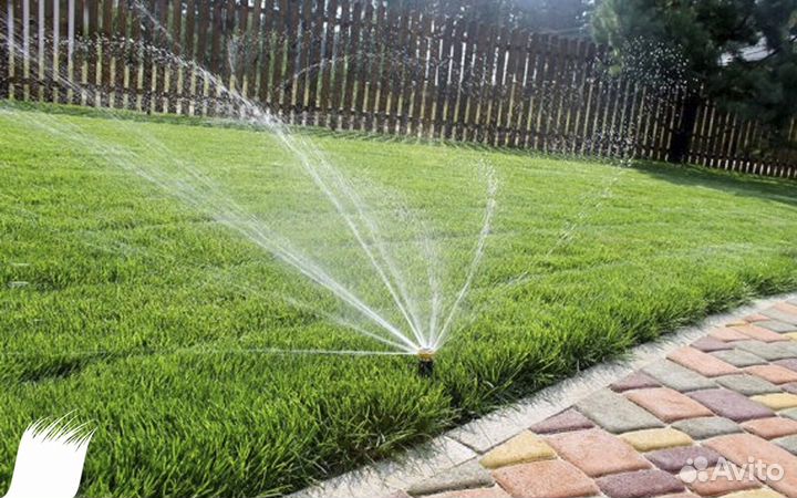 Рулонный газон