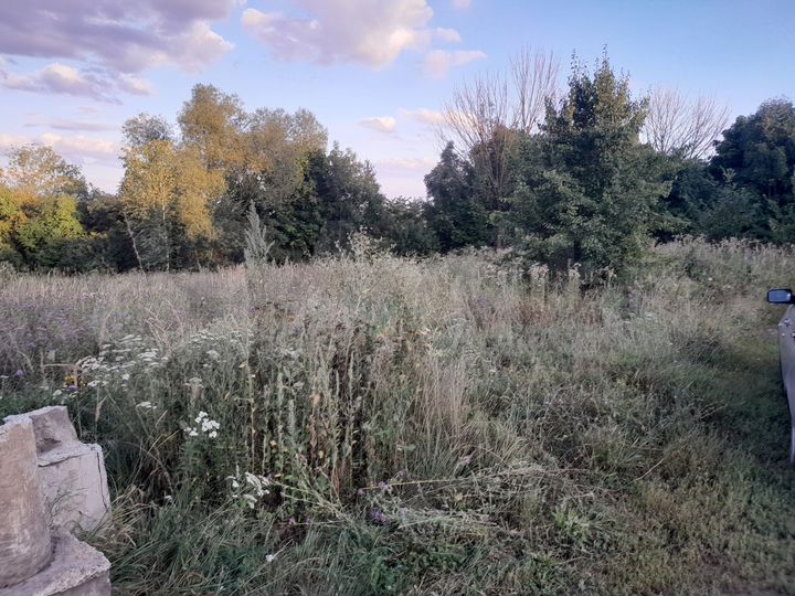 Участок 15 сот. (ИЖС)