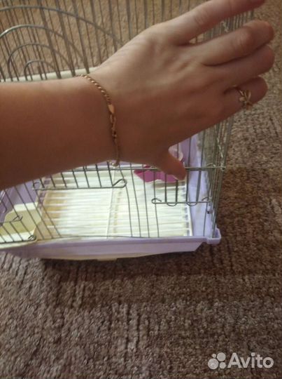 Клетка для попугая