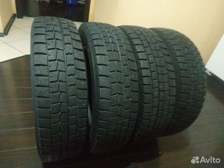 Dunlop SP Winter Maxx WM01 165/70 R14