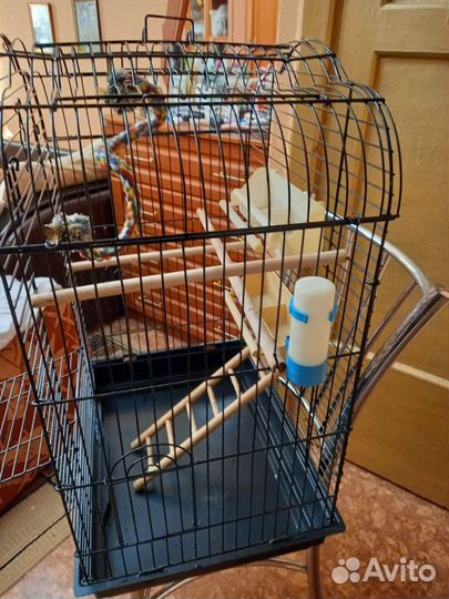 Клетка для крупного попугая