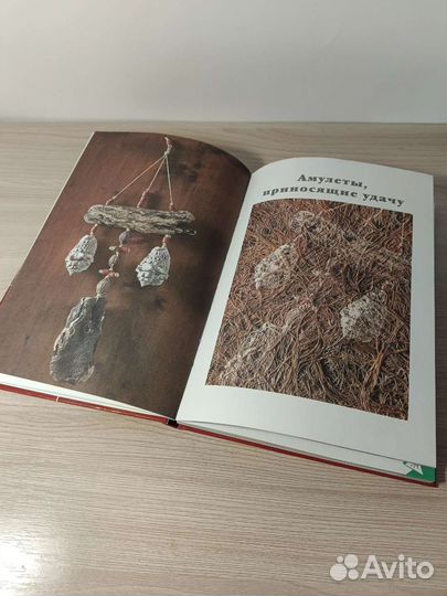 Книга поделки из природных материалов
