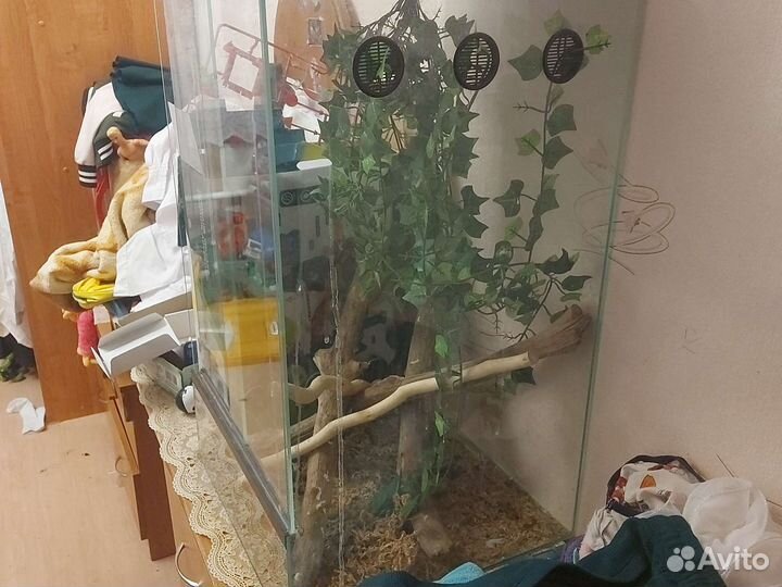 Террариум для рептилий бу