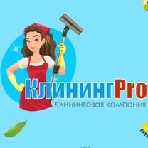 Готовый бизнес на Клининге и Химчистке