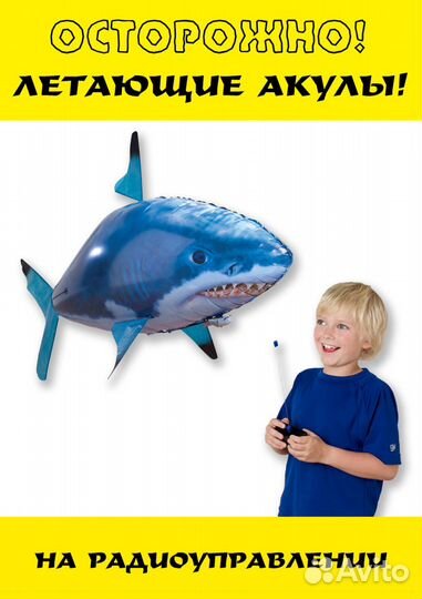 Летающая акула