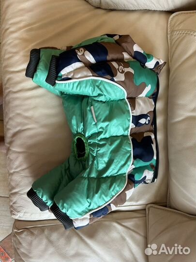 Зимние комбинезоны на маленькую собачку. Кобель