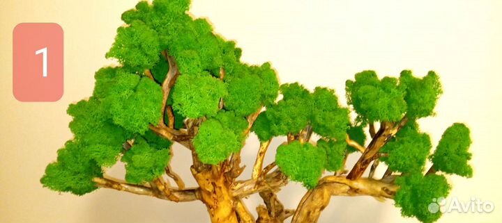 Бонсай искусственный