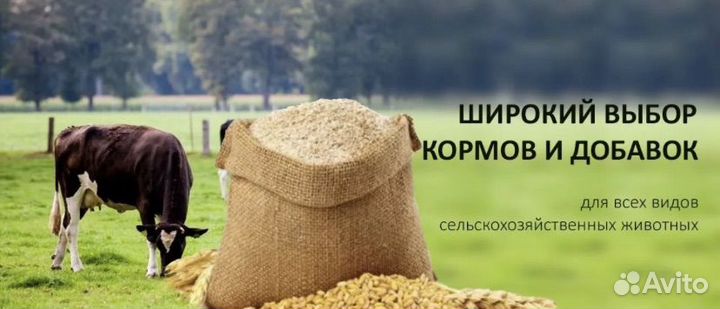 Корм для с/х животных