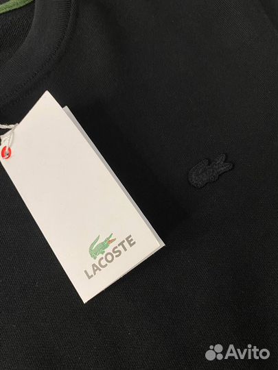 Свитшот Lacoste черный мужской люкс