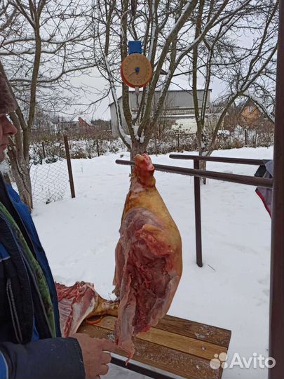 Домашняя свинина