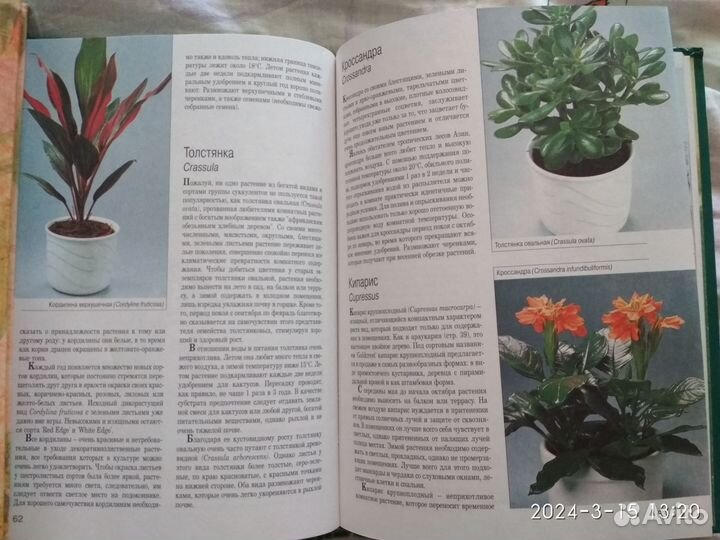 Книга Комнатные растения